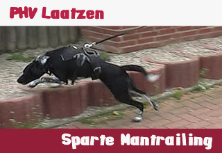 1. PHV Laatzen - Sparte Mantrailing